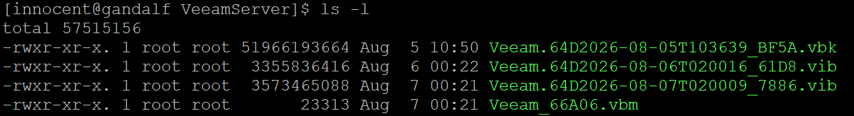 A real job's folder on the repository — one .vbk, incremental .vib files, one .vbm